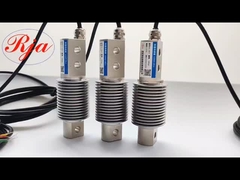 เซลล์บรรทุกเบลล์